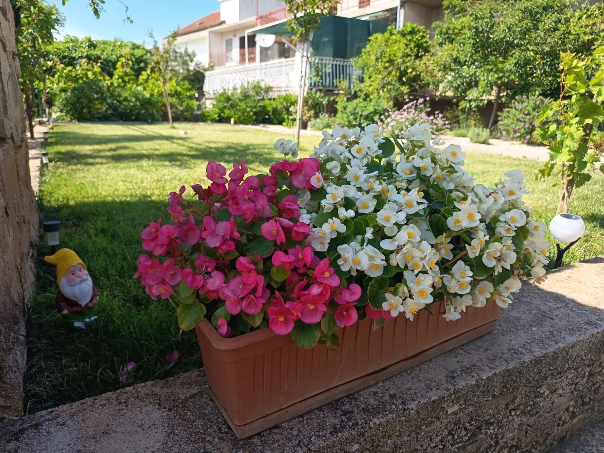 שיבניק Apartments Lucija Solaris מראה חיצוני תמונה