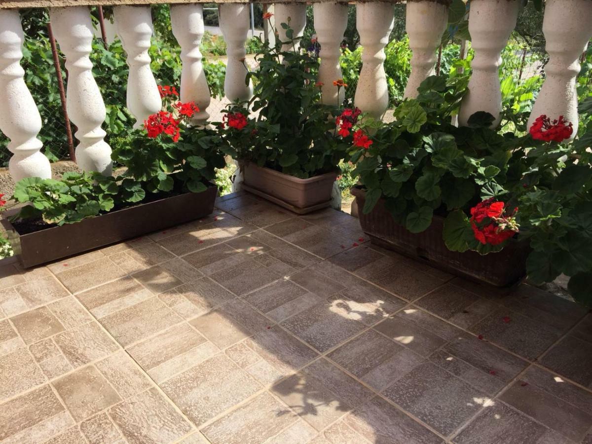 שיבניק Apartments Lucija Solaris מראה חיצוני תמונה